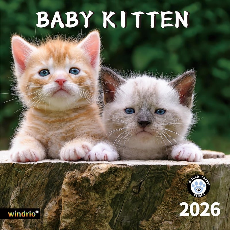 windrio 2026 Wall Calendar,Calendar 2026, November 2025 - December 2026, Wall Calendar Cat Kitten, 12" X 24" Opened,Full Page Months Thick & Sturdy Paper for Calendar Organizing & Planning - Image 1